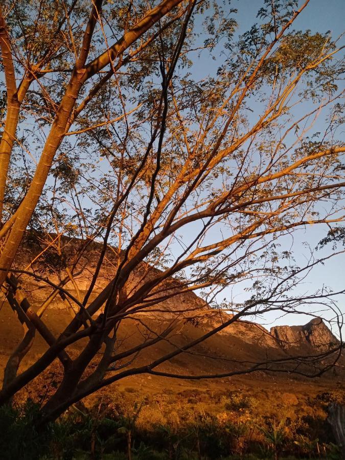 بالميراس Terra De Aruanda Pousada المظهر الخارجي الصورة